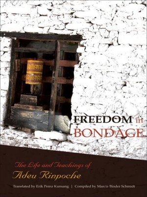 cover image of Freedom in Bondage